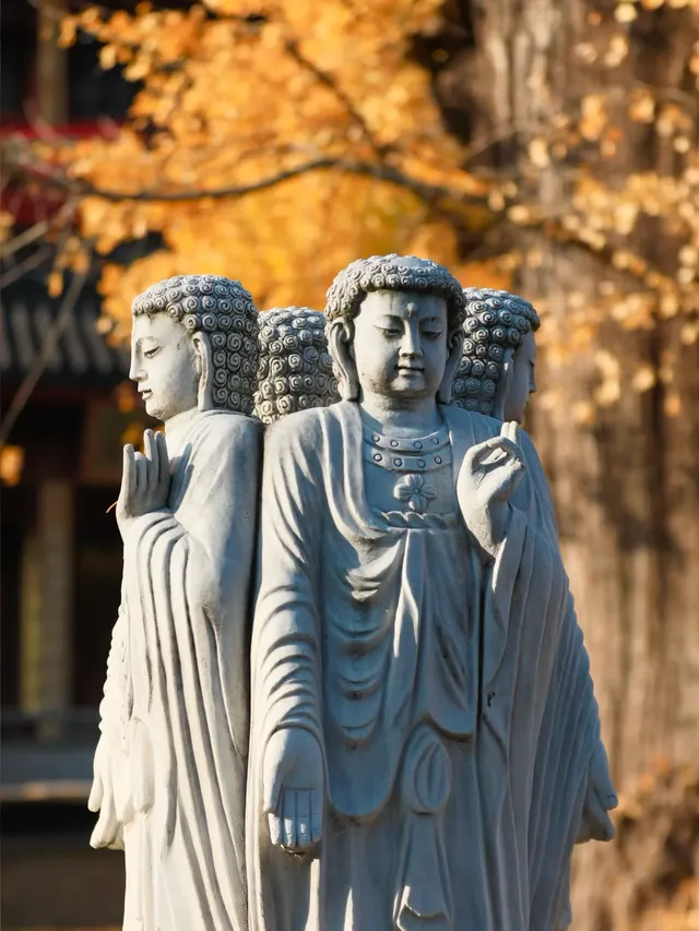 都給我衝，上海賞秋怎能少了這顆千年古銀杏