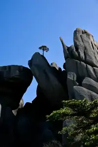 黃山(二) | 松與石