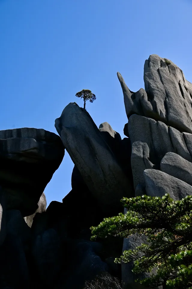 黃山(二) | 松與石 黃山(二) | 松與石