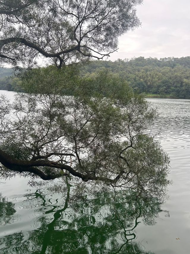 江門隱秘美景森林湖 江門隱秘美景森林湖