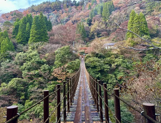 深秋橫斷九州--海拉魯大陸的紅葉狩