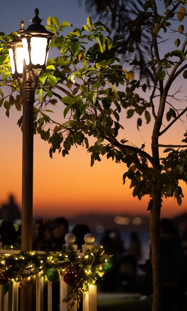 香港|12月,期待日落晚風中的海邊聖誕樹 香港|12月,期待日落晚風中的海邊聖誕樹