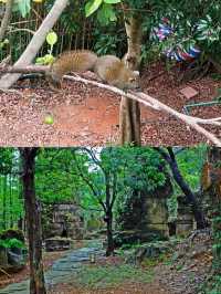 深圳坪山山海堂簡直是城市人的週末治癒天堂!