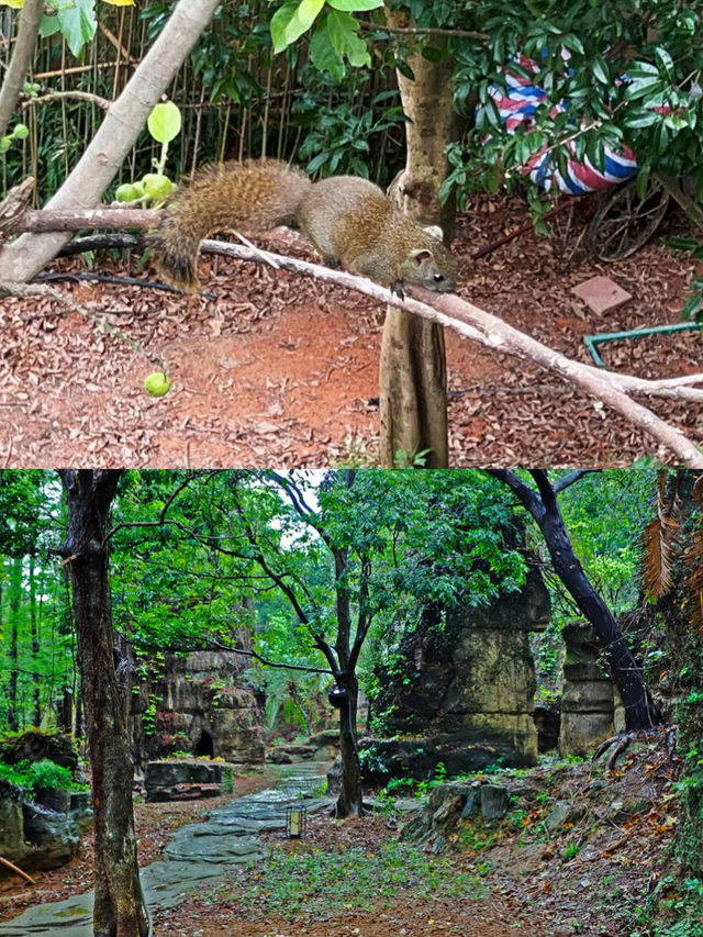 深圳坪山山海堂簡直是城市人的週末治癒天堂! 深圳坪山山海堂簡直是城市人的週末治癒天堂!