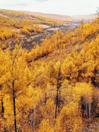 北京自駕阿爾山追秋