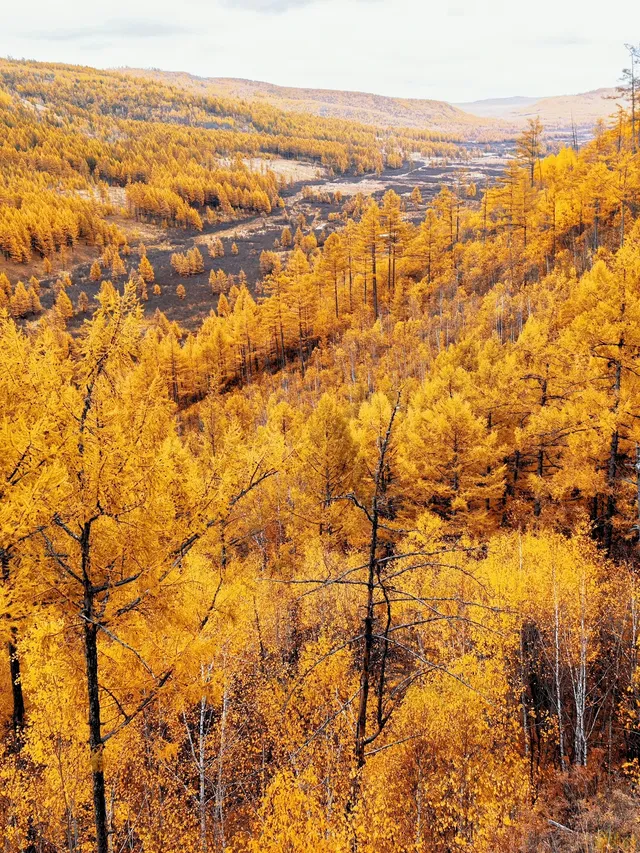 北京自駕阿爾山追秋 北京自駕阿爾山追秋