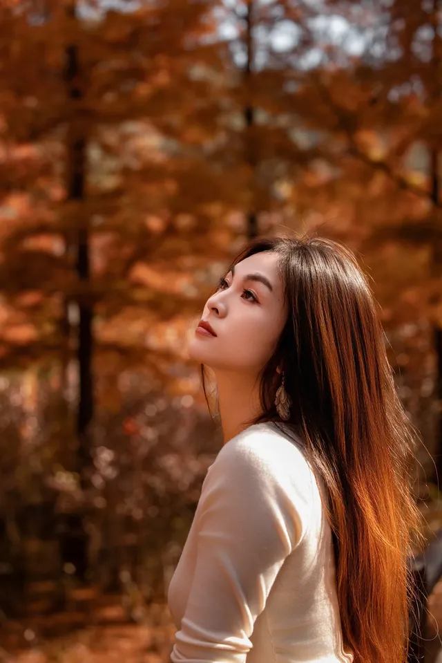 長興桃花岬的紅杉很美啊～～