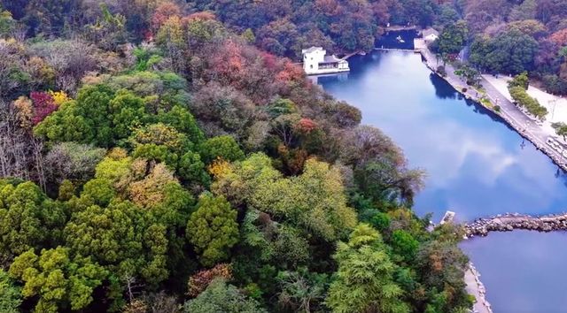 珍珠泉冬日如水墨畫,晨霧繚繞美如詩 珍珠泉冬日如水墨畫,晨霧繚繞美如詩