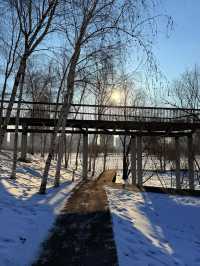 哈爾濱冬日小眾秘境·多圖暴擊預警