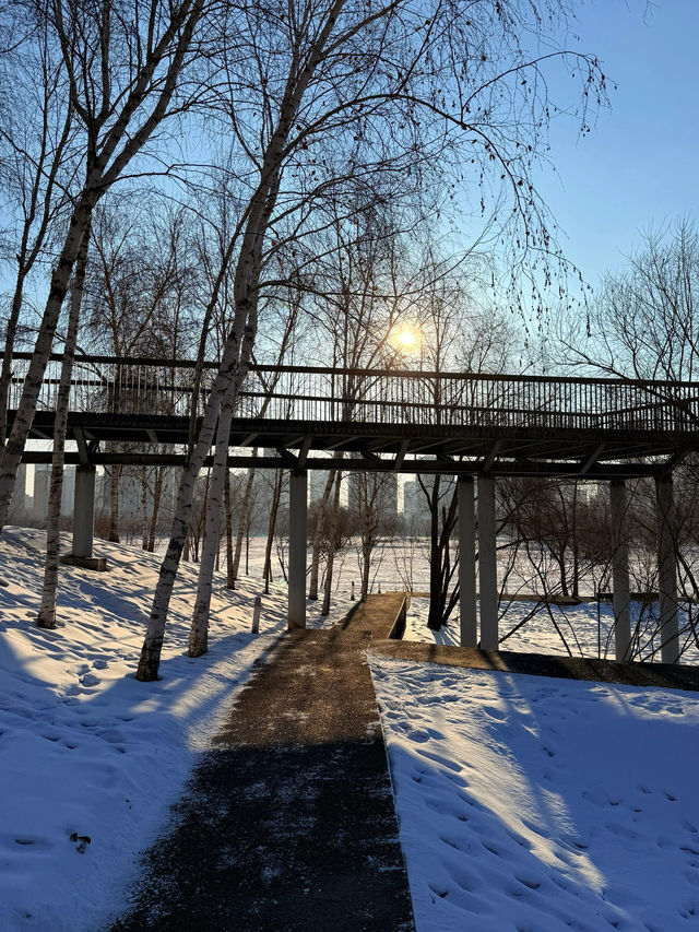 哈爾濱冬日小眾秘境·多圖暴擊預警 哈爾濱冬日小眾秘境·多圖暴擊預警