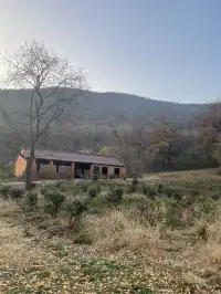 南京浦口隆興寺 | 人少幽靜的古寺