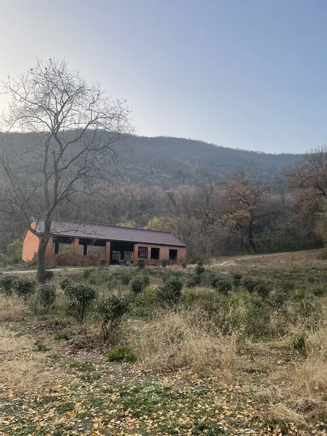 南京浦口隆興寺 | 人少幽靜的古寺 南京浦口隆興寺 | 人少幽靜的古寺