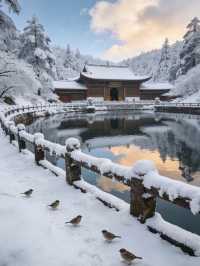 12.13峨眉山現場實況,真的崩潰了