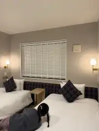 大阪 | Hotel it人均300房間大超好拍!