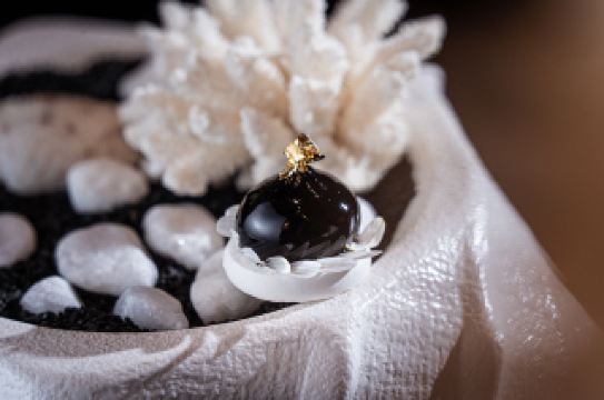 ยุคฟื้นฟูศิลปวิทยาการของเวียดนามที่ไม่เคยสิ้นสุด