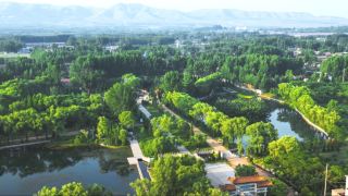 You would never guess these "hidden treasure" spots—let me take you on a full tour of Shandong!