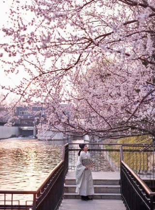 I rarely use the word "stunning" to describe a subway exit…