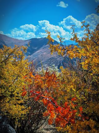 นี่คือคู่มือท่องเที่ยวสุดอลังการสำหรับไนกูดง อัญมณีที่ซ่อนเร้นของลาซา หรือที่รู้จักกันในชื่อ "เมืองแห่งท้องฟ้า"!