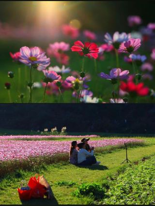 Niche, Secluded Paradise: Live an Idyllic Life in Fuyuan, Yunnan!
