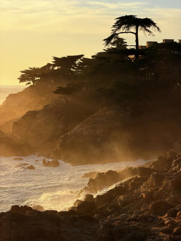 カリフォルニア州ハイウェイ1号線ガイド｜太平洋の風と自由 | Trip.com