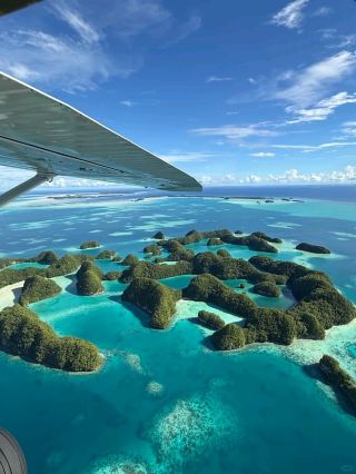 Exploring the mind-blowing underwater shark world.