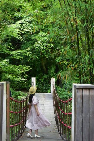 Escape the scorching heat and immerse yourself in a dreamlike embrace of a bamboo forest.