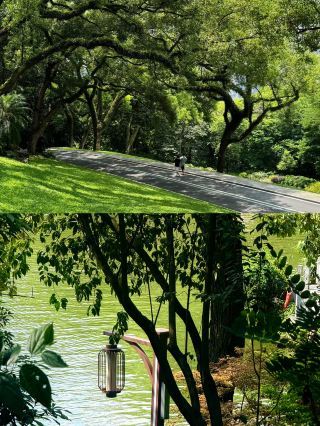 Weekend Outing Guide to People's Park