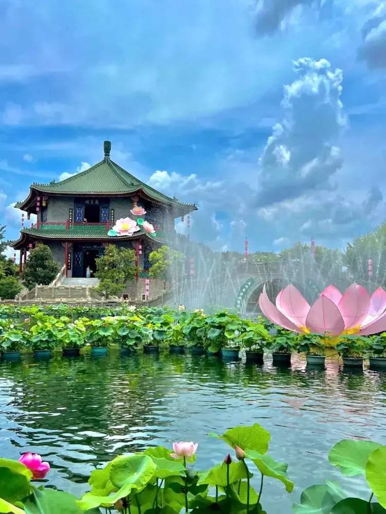 七月廣東:賞荷發燒友的天堂。
