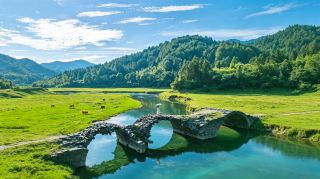 篁嶺の晒秋は絶美のパートナー