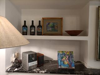Charming Museum Showcasing Local Art