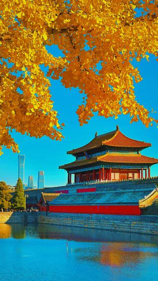 Already looking forward to autumn in Beijing