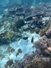 這次在攜程預訂的新加坡馬來西亞8天親子家庭之旅，整體體驗超級滿意，全程舒心又治癒，是一次完全超出預期