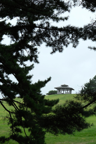 日本東北⑤|八戸:私が東北で出会った、最も感動的な海岸ハイキング