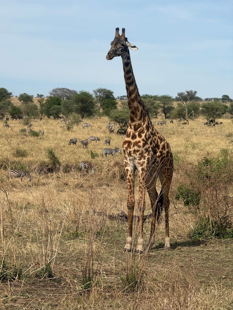 Unforgettable Experience with Hype Safari