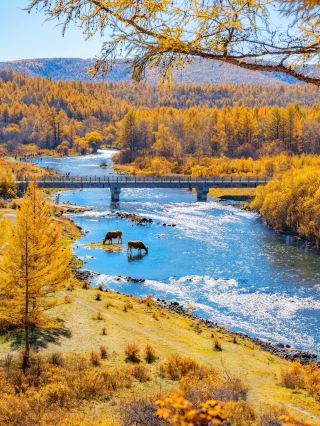 China's most beautiful autumn