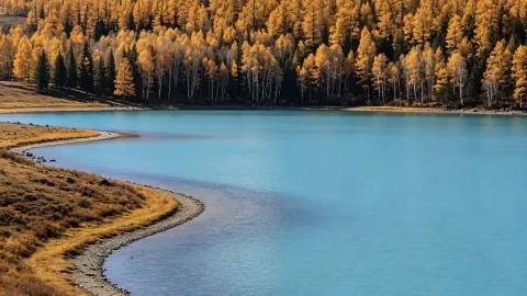 October reverse travel | 4 hidden gem cities for budget-friendly autumn scenery — traveler post in Benxi