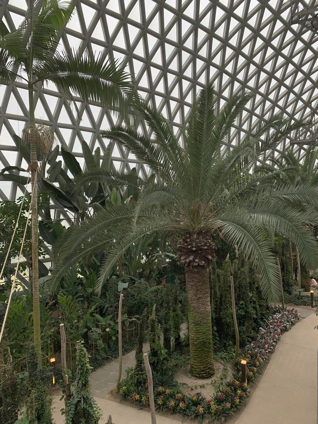 거제 수목원 데이트 코스로 좋고 아이와 함께 가보기 좋은 정글돔🌵 [거제_거제식물원]