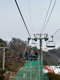 인프라 좋은 스키장, 홍천 비발디파크 스키장🎿
