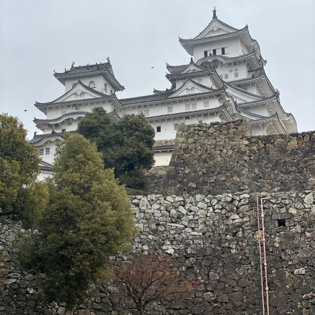 日本🇯🇵三大名城之一‼️國寶雪白姬路城🥹冬日浪漫💕日本🗾城