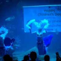 Aquaria Phuket