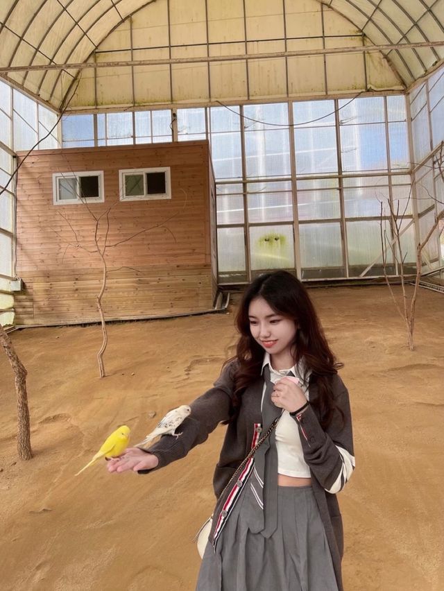 홍천 1박 2일 여행 ‘까미노데플로레스타‘&알파카월드&달구새끼