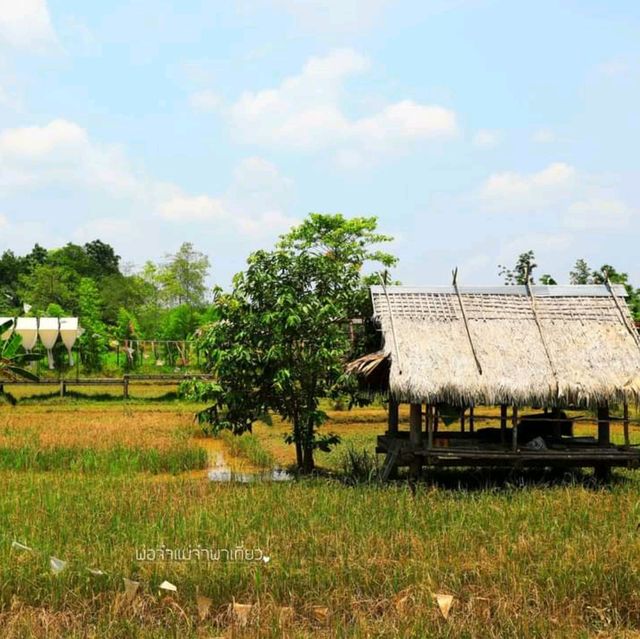 ไร่เกษมสุข อำเภอทุ่งใหญ่ จังหวัดนครศรีธรรมราช