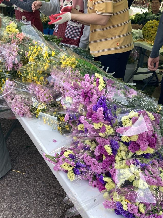 부산에서 즐기는 이색축제
