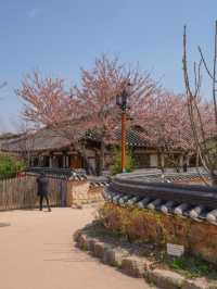활기찼던 경주의 교촌마을