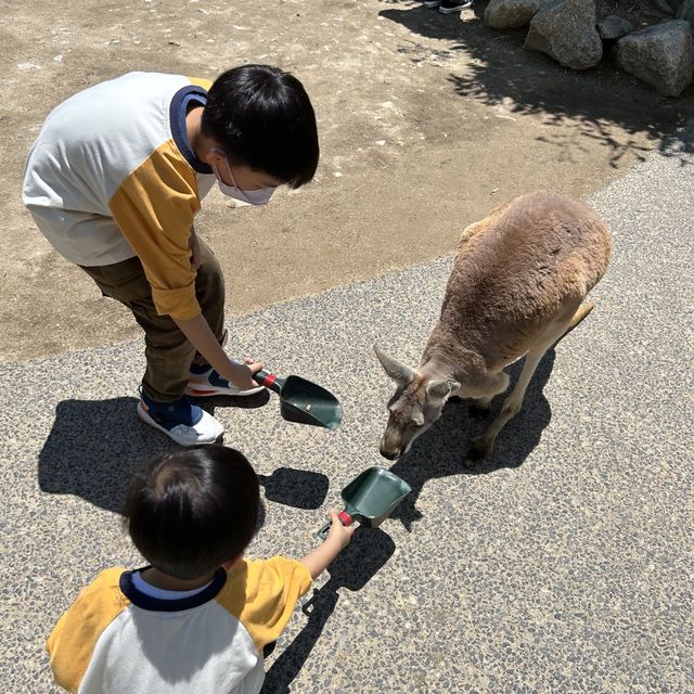 【 近距離親親小動物。神戶動物王國 】