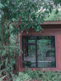 บ้านในหมง Treehouse 