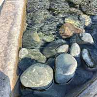 Natural Hot Spring Footbath in Sembawang 