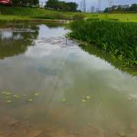 Tebing @ Bandar Dato' Onn