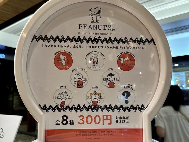 内装もグッズも可愛いショップ