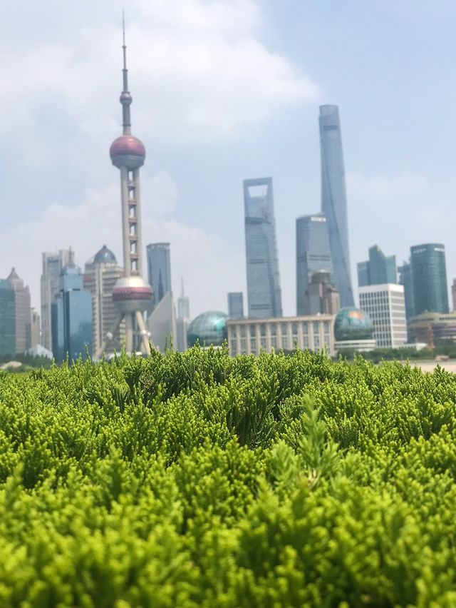 The City of Dreams